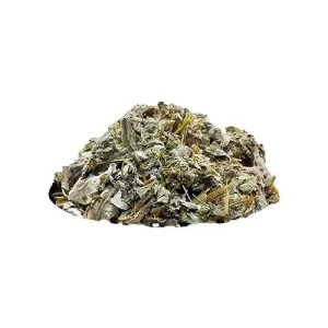 آرتیشو کنگر فرنگی عمده 10 کیلوگرم