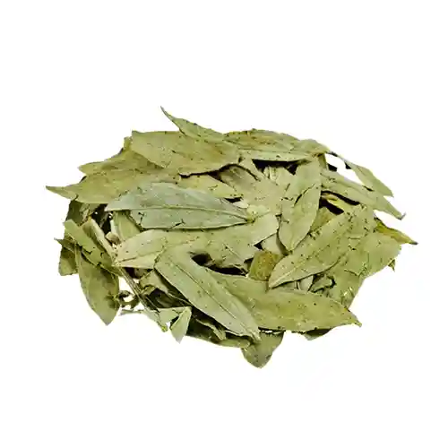 تصویر برگ سنا عمده 10 کیلوگرم 