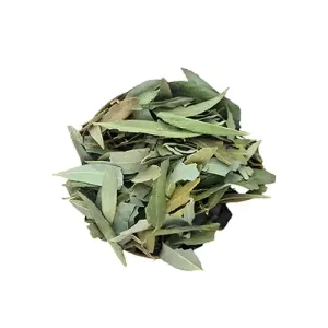 برگ بید عمده 10 کیلوگرم