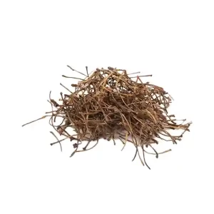 دم گیلاس عمده 10 کیلوگرم