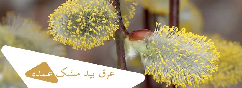 عرق بید مشک عمده