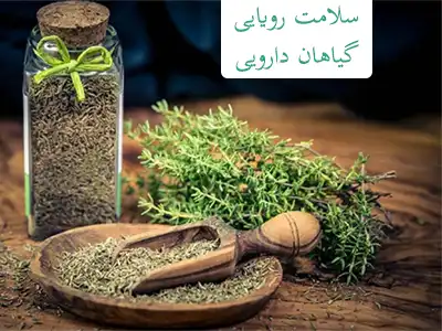 گیاهان دارویی عمده
