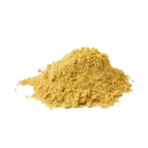 پودر خردل عمده 10 کیلوگرم