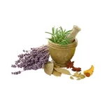 چهل گیاه عمده 10 کیلوگرم